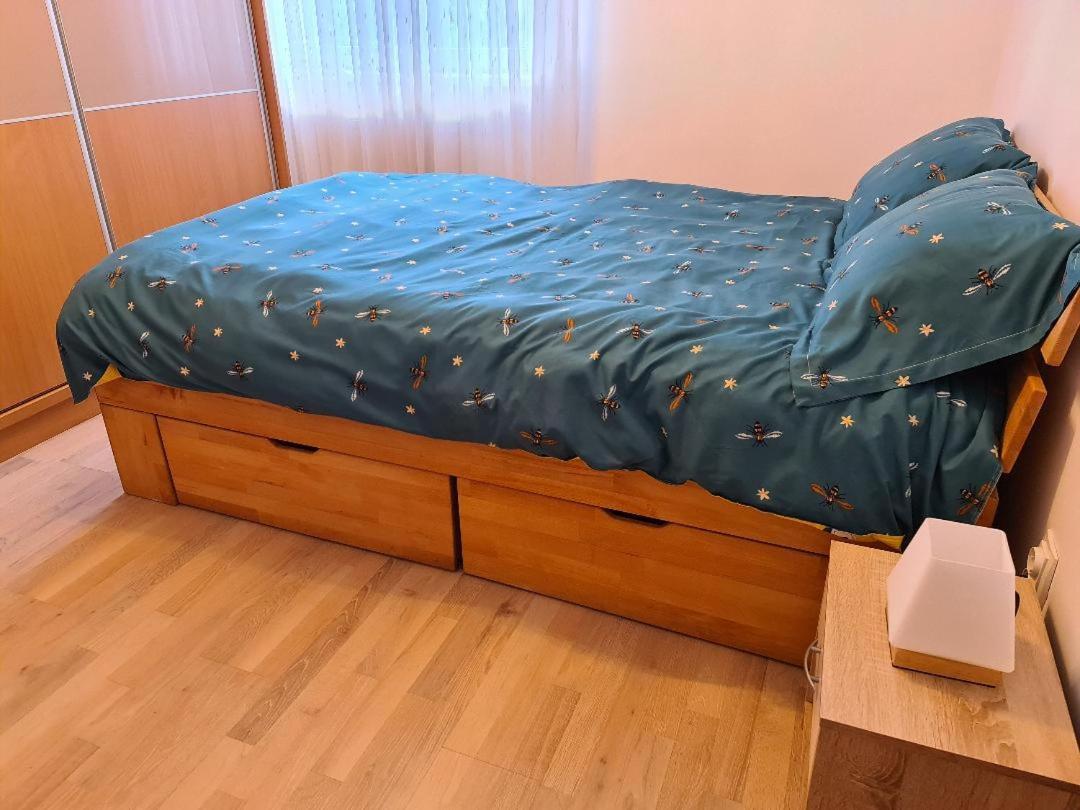 Central Cosy Apart Oradea Apartamento Exterior foto